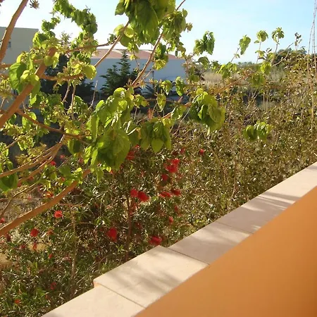 Casa de hóspedes Athina Rethymno