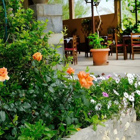 Athina 2*